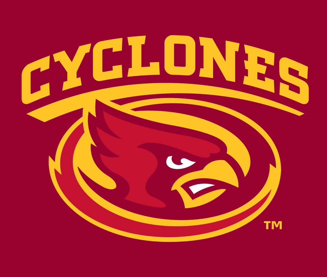 Iowa State Cyclones 2008-Pres Alternate Logo 03 iron on paper